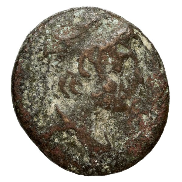 аверс Seleucid Coins (part 2) 2481