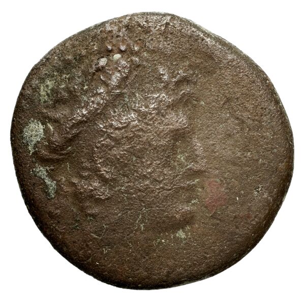 аверс Seleucid Coins (part 2) 2476