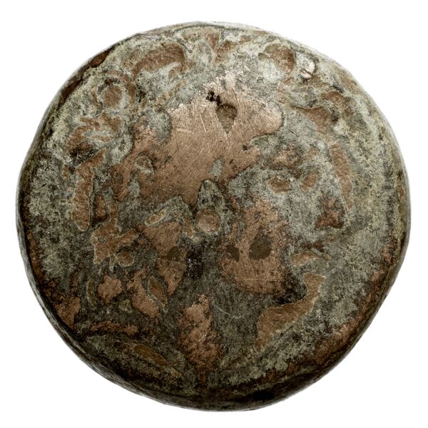 аверс Seleucid Coins (part 2) 2040