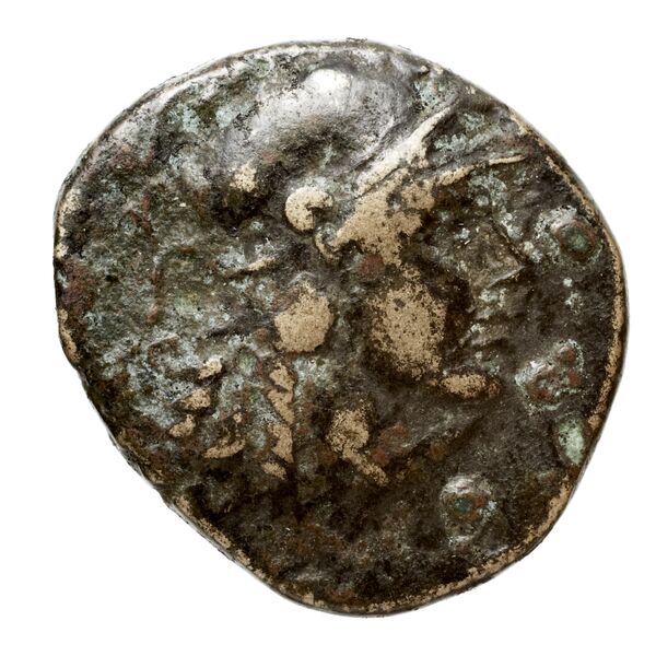 Seleucid Coins (part 1) 660, аверс, bnf-hrc