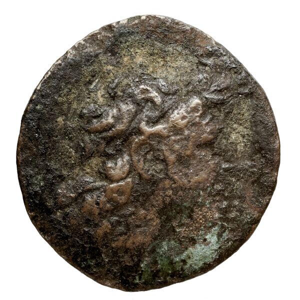 аверс Seleucid Coins (part 2) 2034.2d