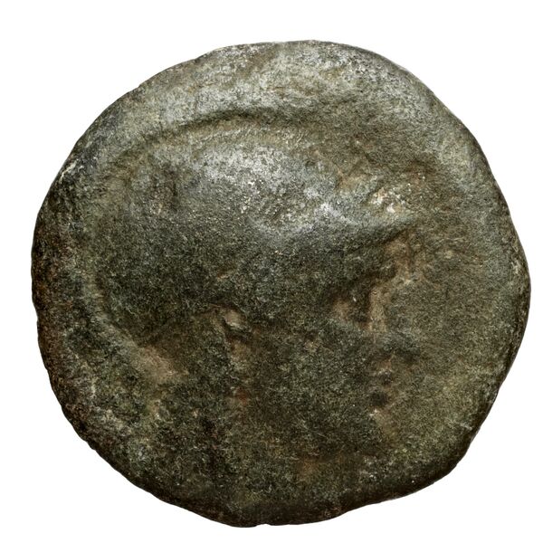 Seleucid Coins (part 1) 660, аверс, bnf-hrc
