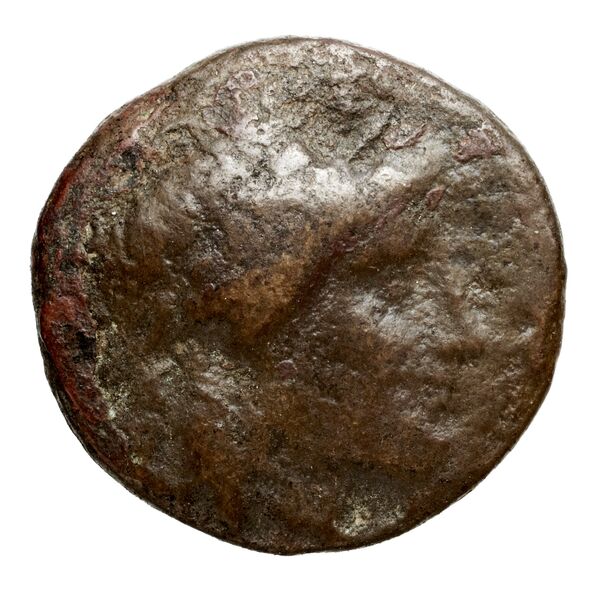 аверс Seleucid Coins (part 1) 525.1a