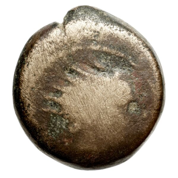 аверс Seleucid Coins (part 2) 1509