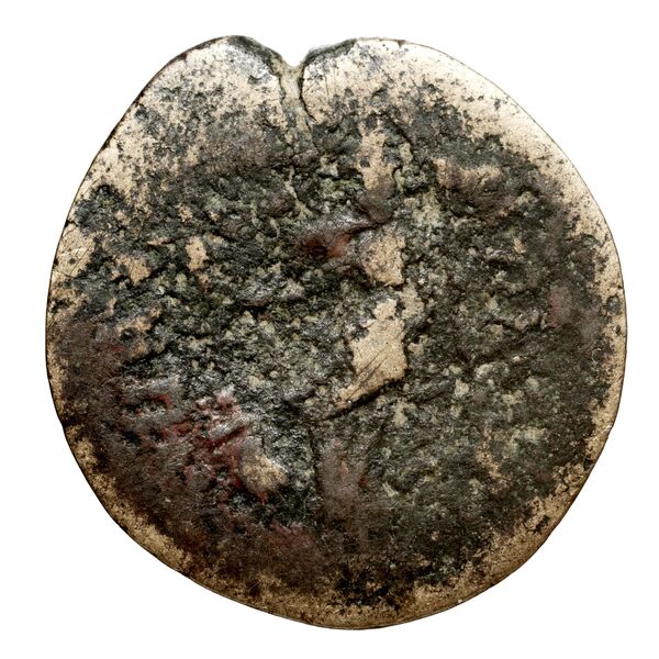 реверс Seleucid Coins (part 2) 1509