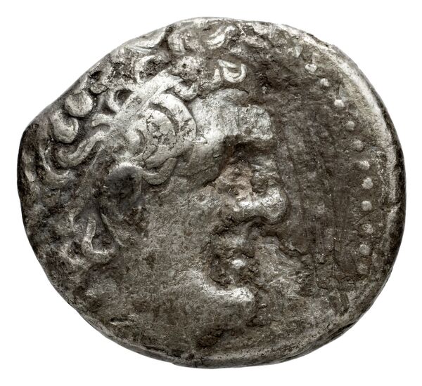 Coins of the Ptolemaic Empire Vol. I, Part 1, no. 561, аверс, bnf-hrc