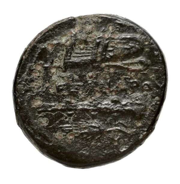Price 2102, реверс, bnf-hrc