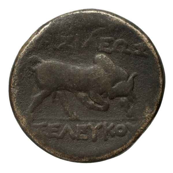 реверс Seleucid Coins (part 1) 148