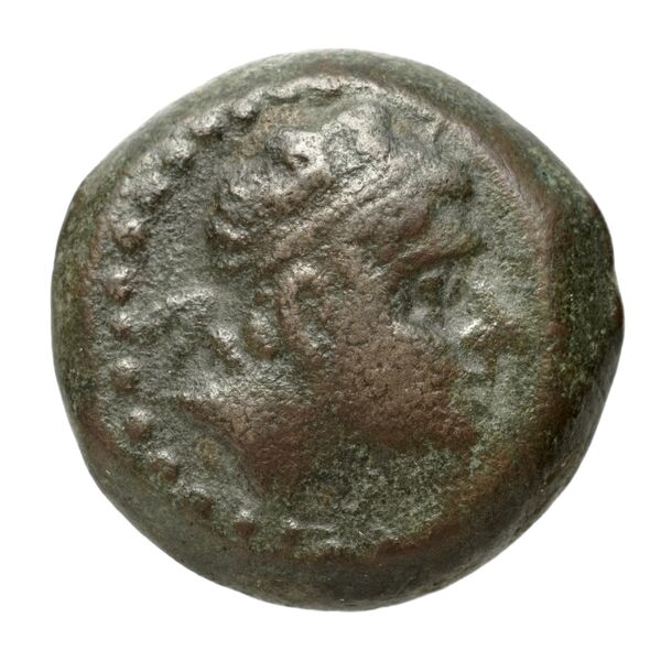 аверс Seleucid Coins (part 1) 1253