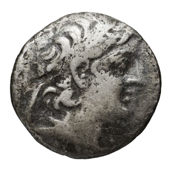 аверс Seleucid Coins (part 2) 2110.11b