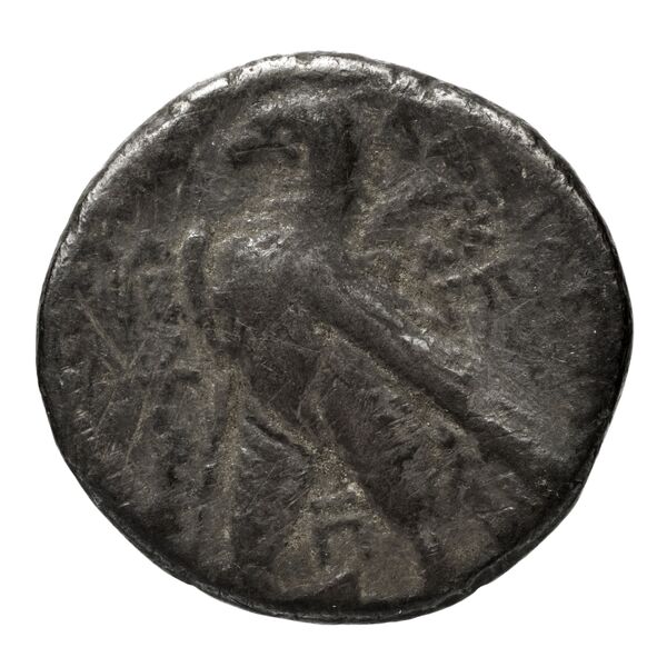 реверс Seleucid Coins (part 2) 2110.11b