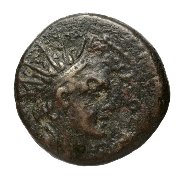 аверс Seleucid Coins (part 2) 1456