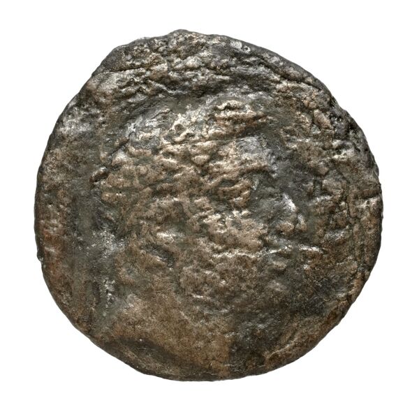 аверс Seleucid Coins (part 2) 1704