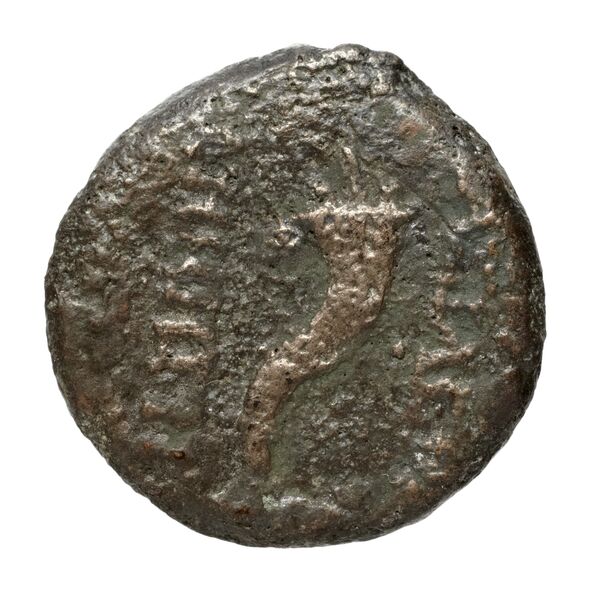 реверс Seleucid Coins (part 2) 1704