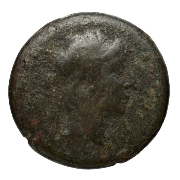аверс Seleucid Coins (part 1) 709