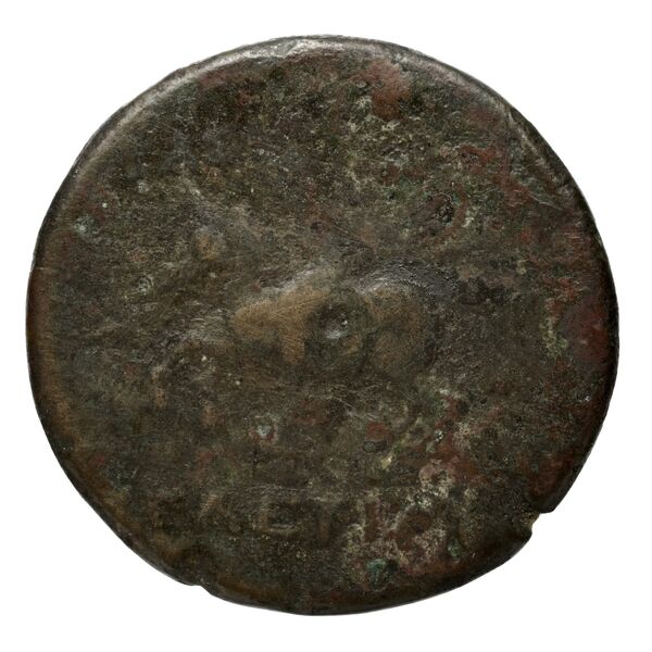 реверс Seleucid Coins (part 1) 709