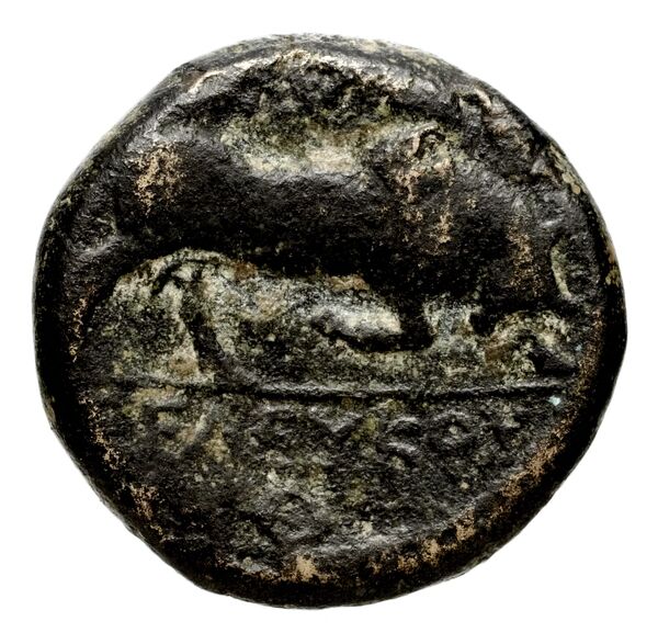 реверс Seleucid Coins (part 1) 150.1
