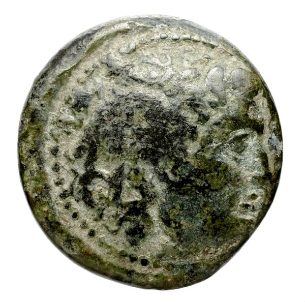аверс Seleucid Coins (part 1) 152a