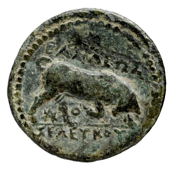 реверс Seleucid Coins (part 1) 152a