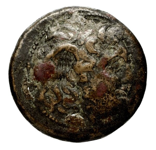 аверс Seleucid Coins (part 1) 152