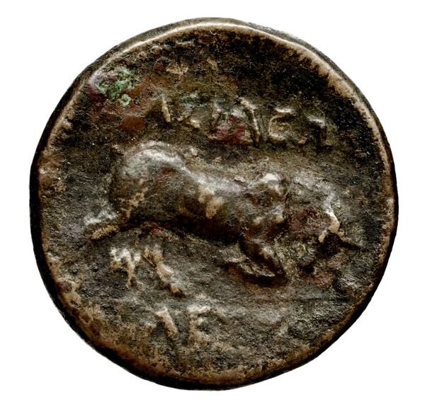 реверс Seleucid Coins (part 1) 152