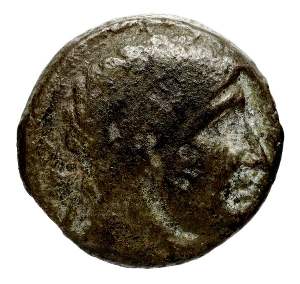 Seleucid Coins (part 1) 414, аверс, BnF (HRC)