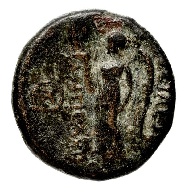реверс Seleucid Coins (part 1) 315a