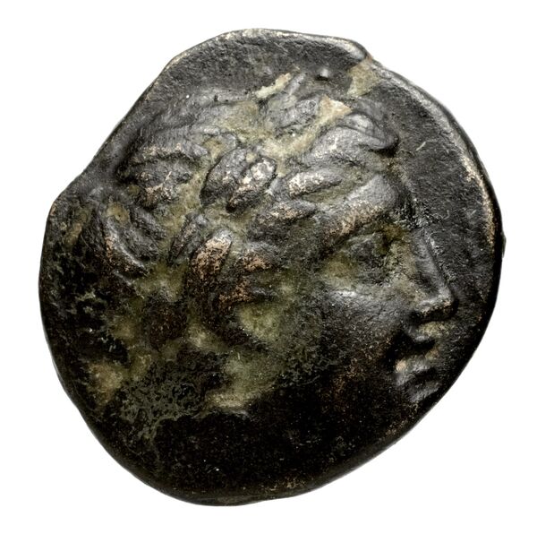 аверс Seleucid Coins (part 1) 528