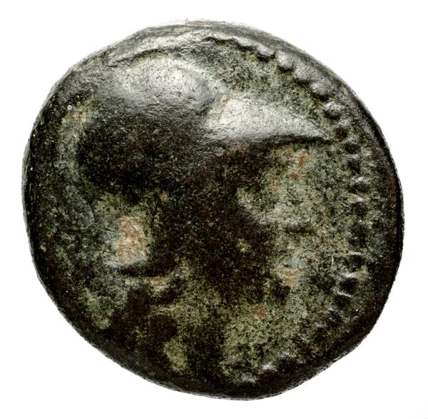 Seleucid Coins (part 1) 695, аверс, BnF (HRC)