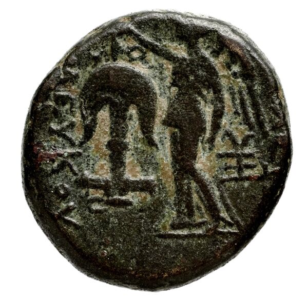 Seleucid Coins (part 1) 695, реверс, BnF (HRC)