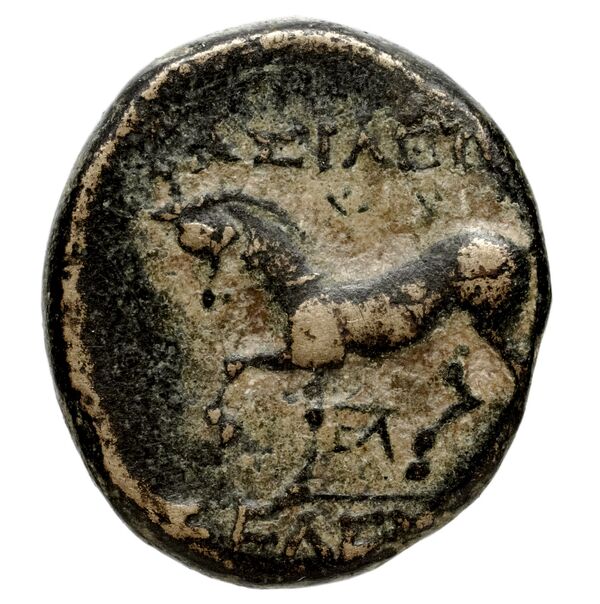 Seleucid Coins (part 1) 710a, реверс, bnf-hrc