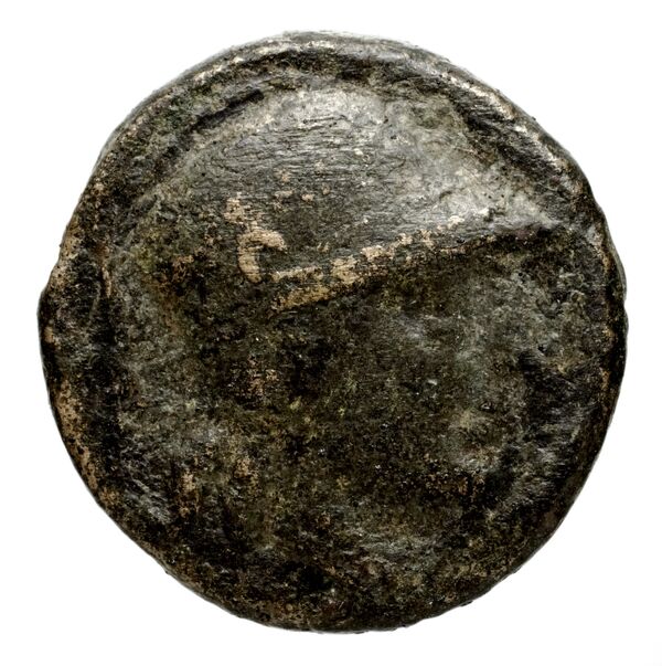 Seleucid Coins (part 1) 660, аверс, bnf-hrc