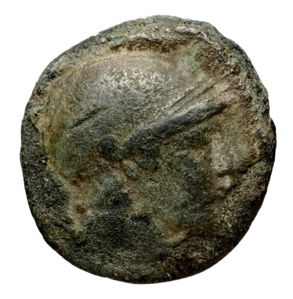 Seleucid Coins (part 1) 660.5, аверс, BnF (HRC)