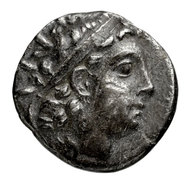 Seleucid Coins (part 2) 2003c, аверс, BnF (HRC)