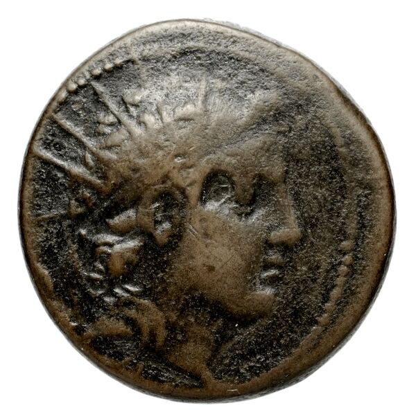 аверс Seleucid Coins (part 2) 2014e