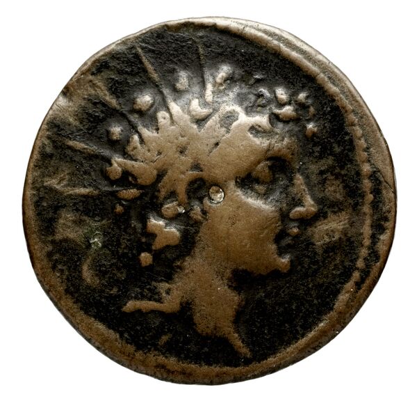 аверс Seleucid Coins (part 2) 2014d