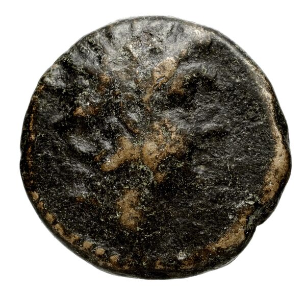 Seleucid Coins (part 2) 2015.2h, аверс, bnf-hrc