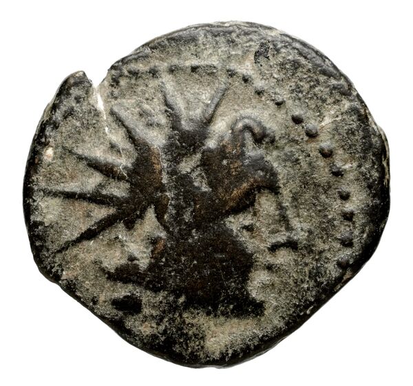 аверс Seleucid Coins (part 2) 2017a