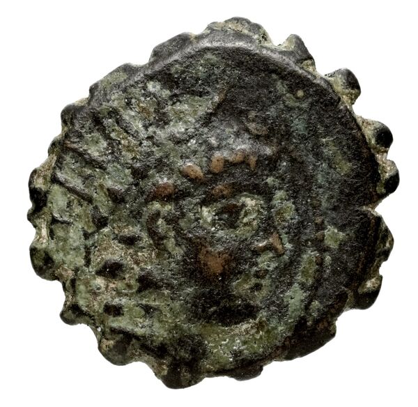 Seleucid Coins (part 2) 2025, аверс, bnf-hrc