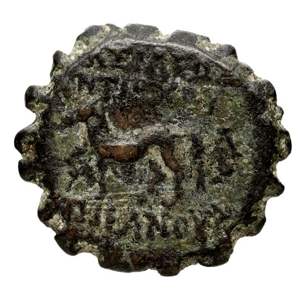 Seleucid Coins (part 2) 2025, реверс, bnf-hrc