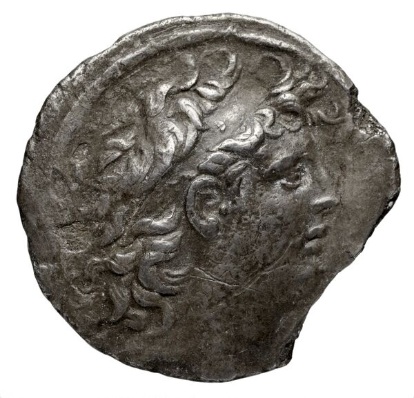 аверс Seleucid Coins (part 2) 2031.1