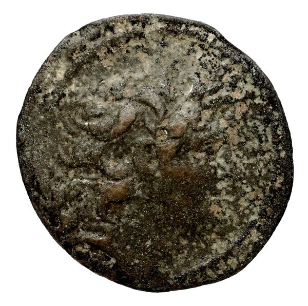 аверс Seleucid Coins (part 2) 2034.2a