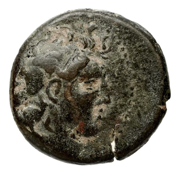 аверс Seleucid Coins (part 2) 2034.1
