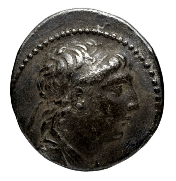 аверс Seleucid Coins (part 2) 2110.1