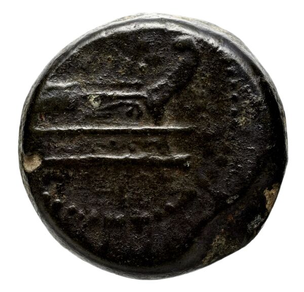 аверс Seleucid Coins (part 2) 2063.2