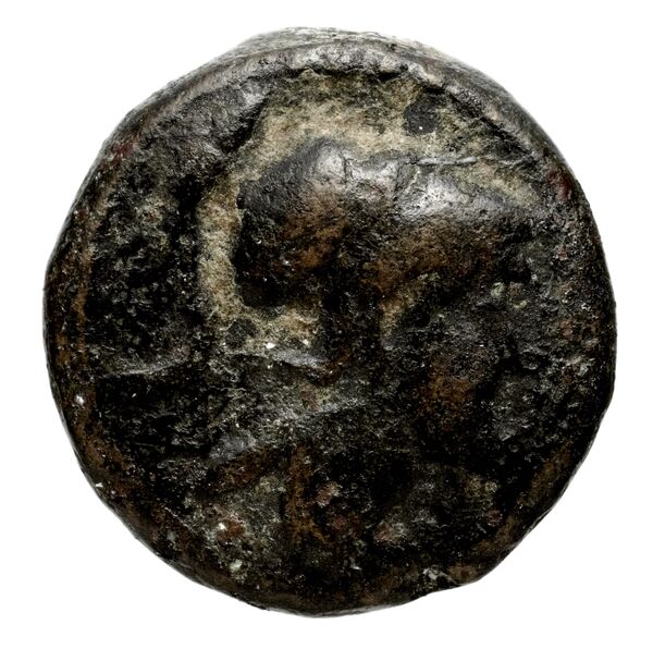 аверс Seleucid Coins (part 1) 361.2