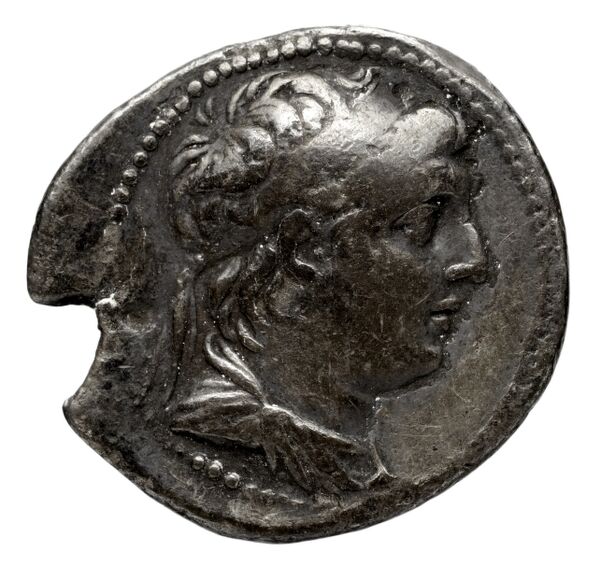 аверс Seleucid Coins (part 2) 2103.1