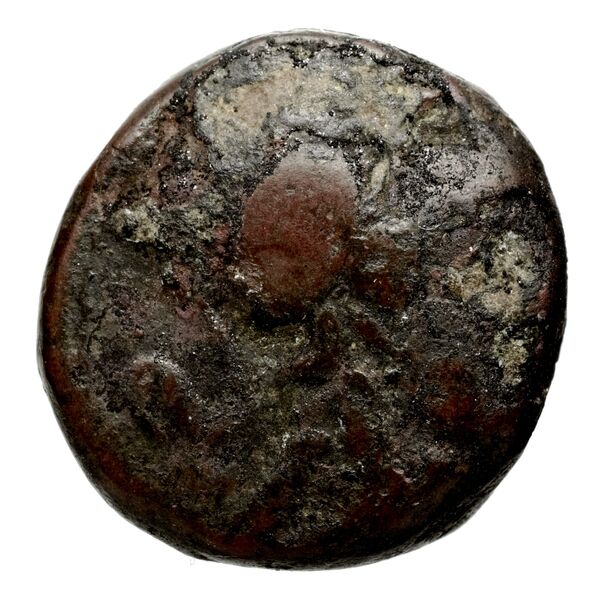 аверс Seleucid Coins (part 1) 361.3