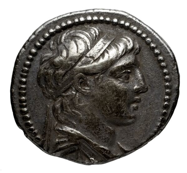аверс Seleucid Coins (part 2) 2110.4b