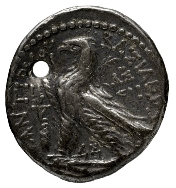 реверс Seleucid Coins (part 2) 2110.4c